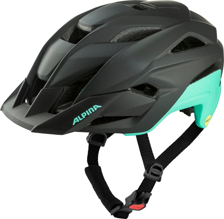 Alpina Stan Mips Velohelm kohle von Alpina