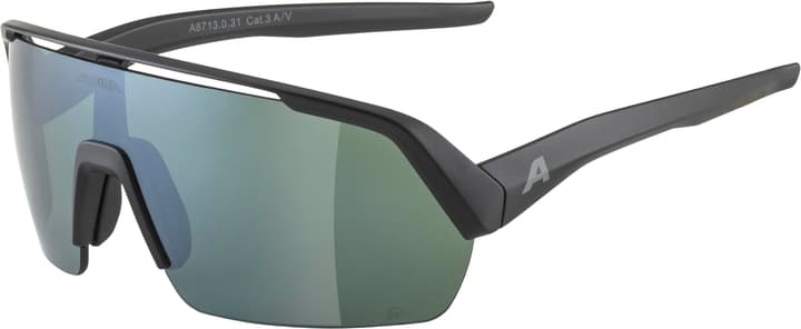 Alpina Turbo HR Q-Lite Sportbrille schwarz von Alpina