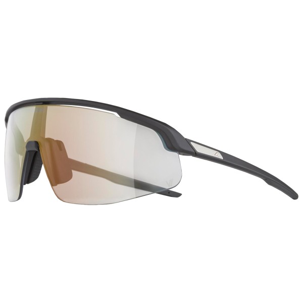 Alpina - Turbo Pro V Photchromic S1-3 - Velobrille schwarz;weiß von Alpina