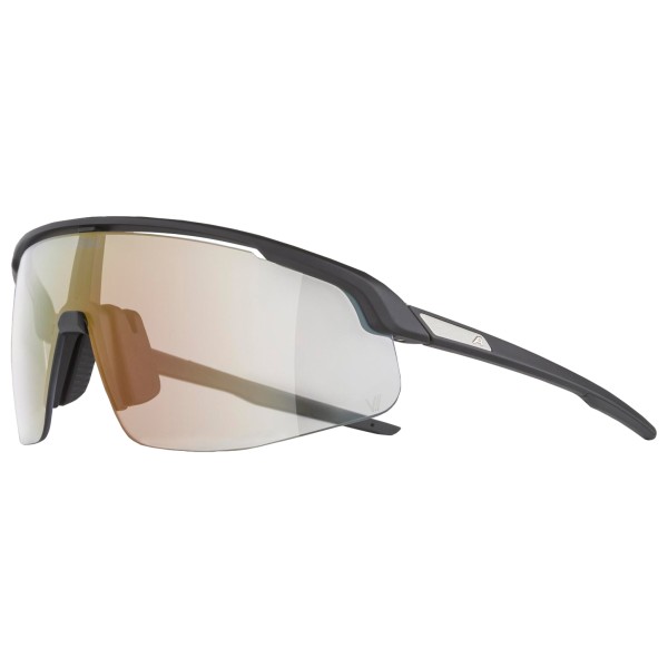 Alpina - Turbo Pro V Photchromic S1-3 - Velobrille schwarz von Alpina