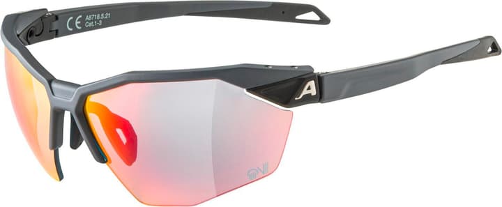 Alpina Twist SIX HR QV Sportbrille anthrazit von Alpina