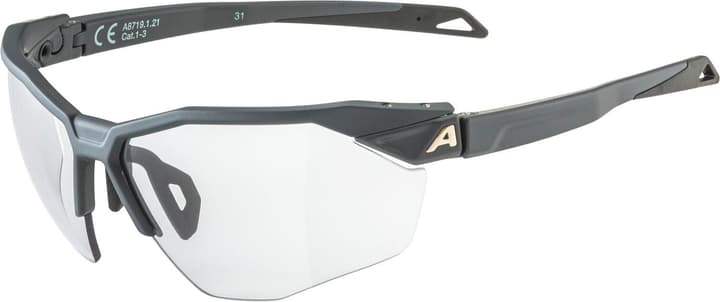 Alpina Twist SIX HR V Sportbrille anthrazit von Alpina