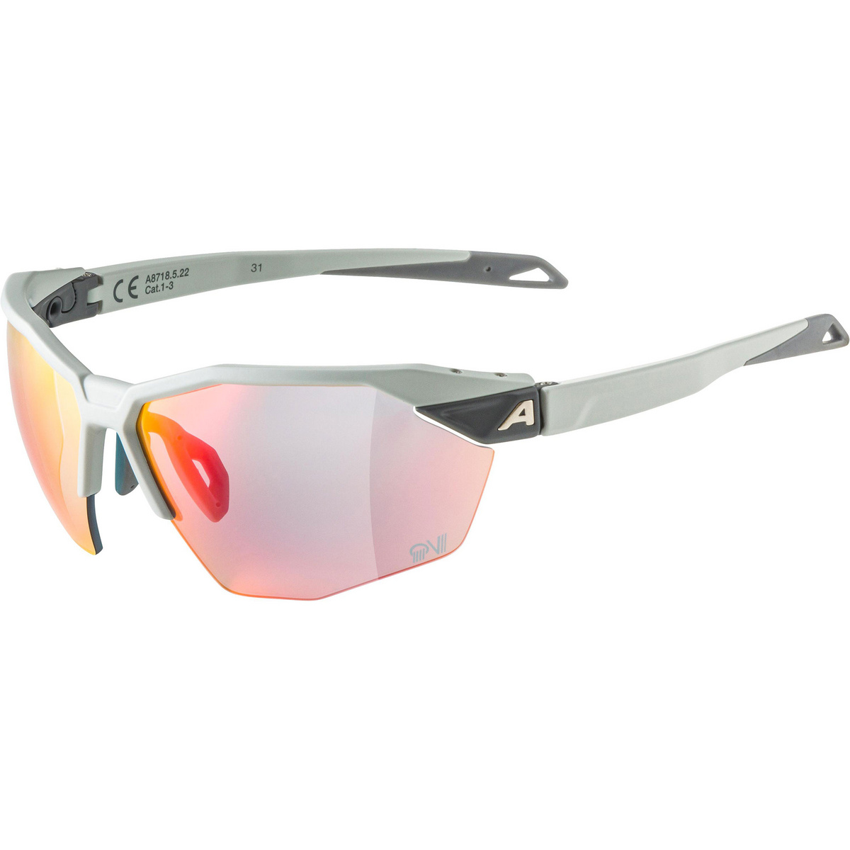 Alpina Twist Six HR QV 1-3 Sportbrille von Alpina