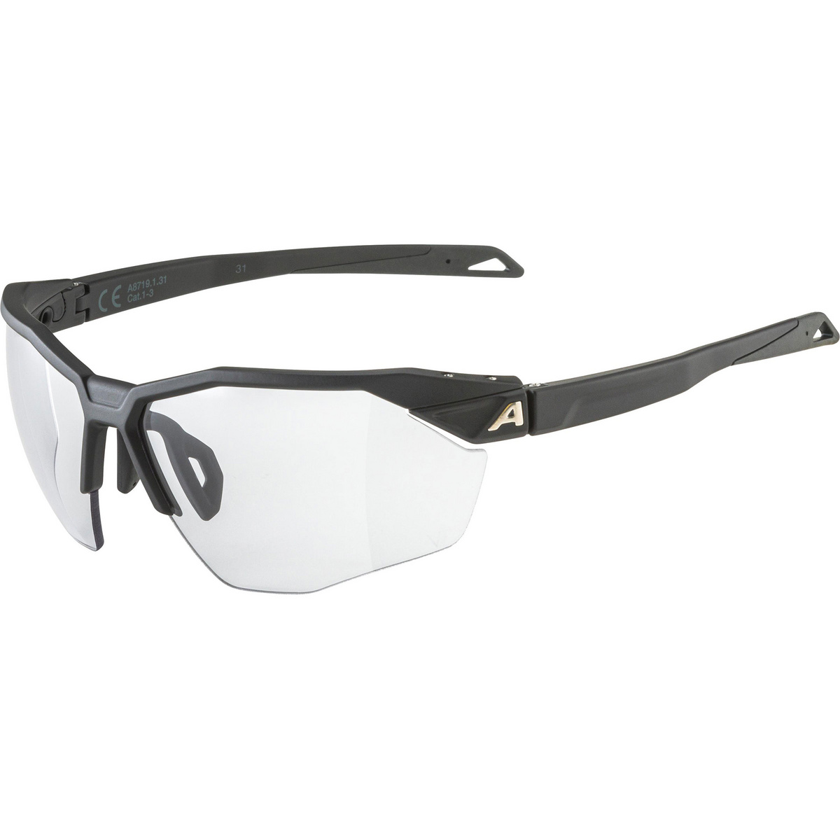 Alpina Twist Six HR V 1-3 Sportbrille von Alpina