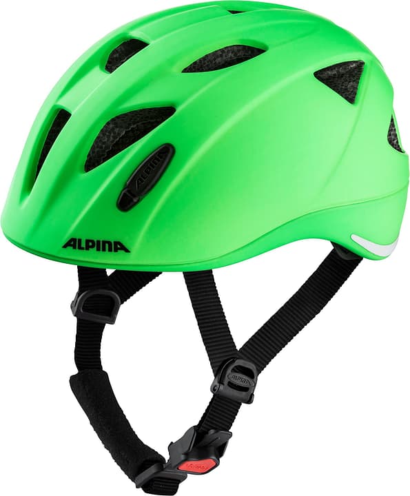 Alpina Ximo L.e. Velohelm grün von Alpina