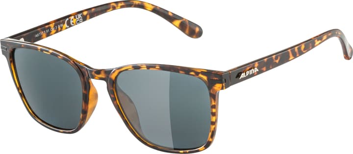 Alpina Yefe P Sportbrille dunkelbraun von Alpina