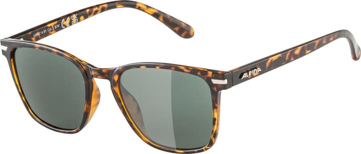 Alpina Yefe Sportbrille dunkelbraun von Alpina