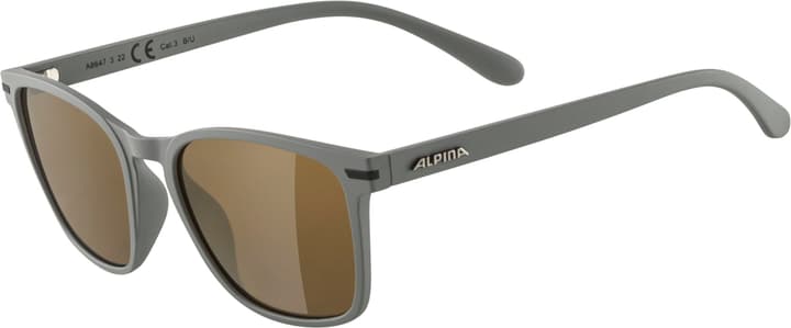 Alpina Yefe Sportbrille dunkelgrau von Alpina