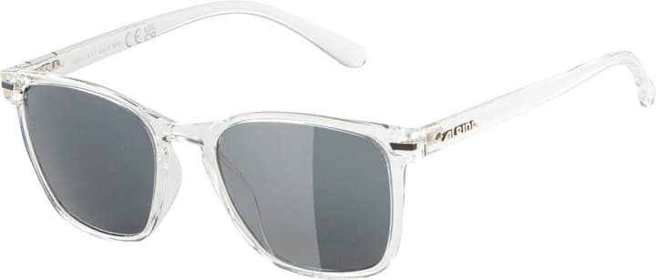 Alpina Yefe Sportbrille grau von Alpina