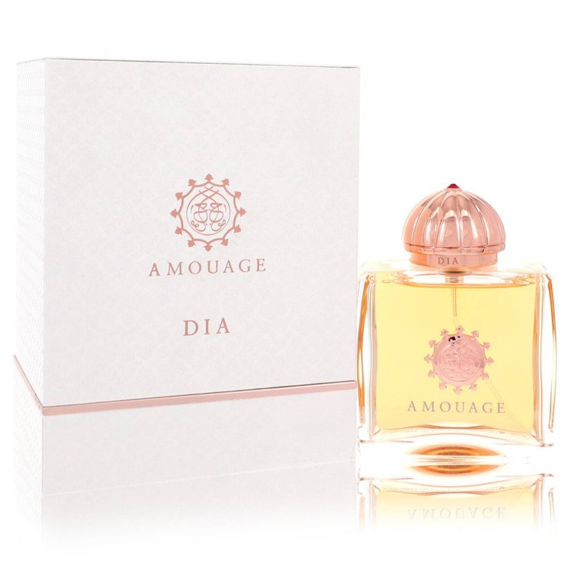 Amouage Dia Eau De Parfum Spray 100 ml von Amouage