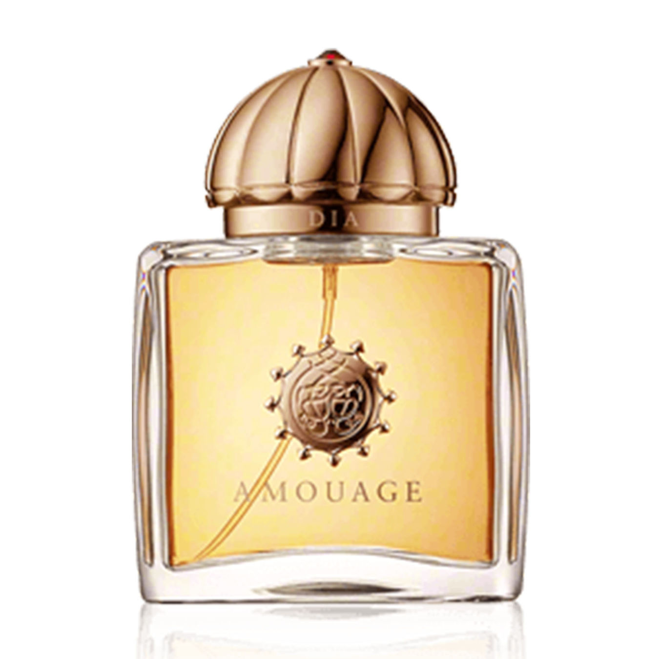 Amouage Dia Woman Eau de Parfum 100ml Damen von Amouage