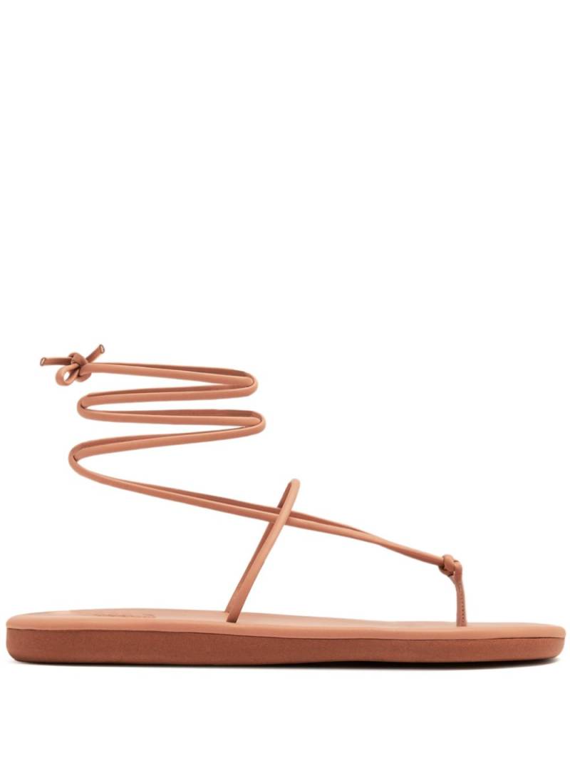 Ancient Greek Sandals Chordi sandals - Neutrals von Ancient Greek Sandals