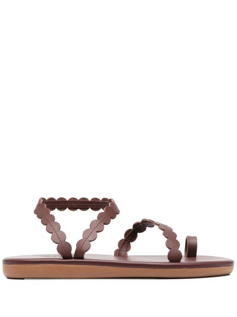 Ancient Greek Sandals multi-strap leather sandals - Brown von Ancient Greek Sandals