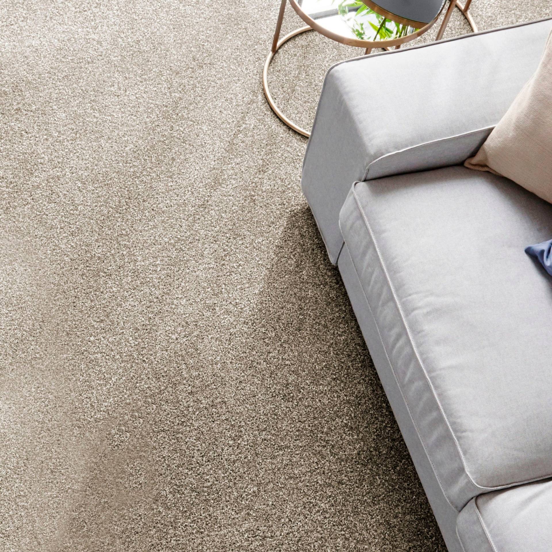 Andiamo Teppichboden »Frisee-Velours Rennes«, rechteckig, 14 mm Höhe, Uni Farben, Breite 400 cm oder 500 cm, strapazierfähig, pflegeleicht Andiamo Teppichboden »Frisee-Velours Rennes«, rechteckig, 14 mm Höhe, Uni Farben, Breite 400 cm oder 500 cm, strapazierfähig, pflegeleicht von Andiamo