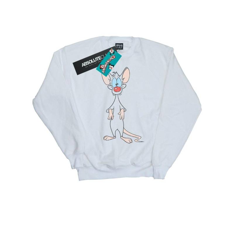 Pinky Classic Pose Sweatshirt Jungen Weiss 116 von Animaniacs