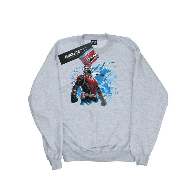 Standing Sweatshirt Herren Grau M von Ant-Man