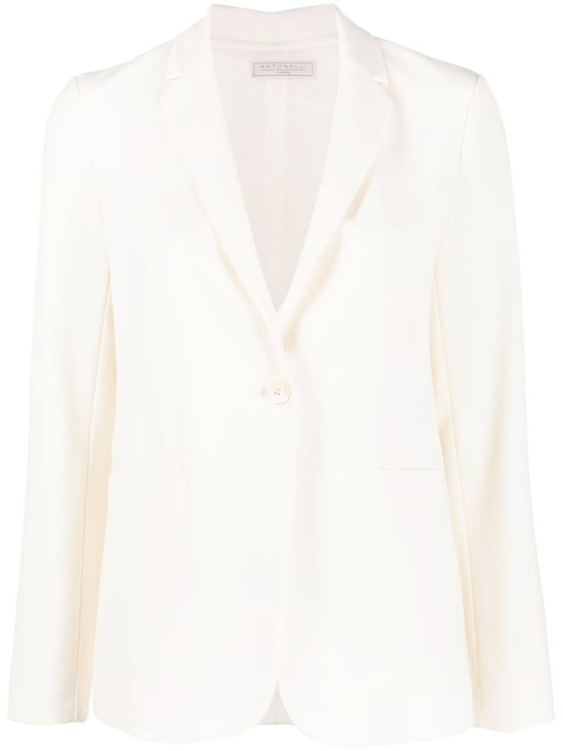 Antonelli long-sleeve single-breasted blazer - Neutrals von Antonelli