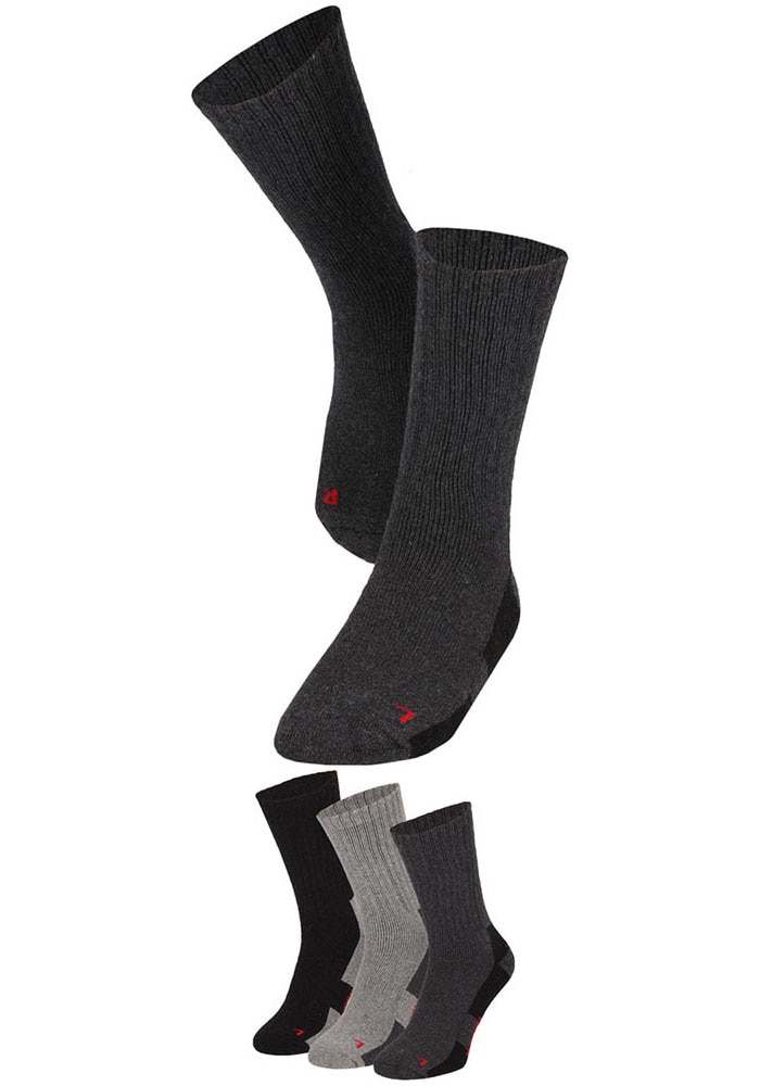 Apollo Basicsocken »THERMAL/TRACKING SOCKS«, (3er Pack), Unisex mit wärmenden Merinowoll-Anteil von Apollo