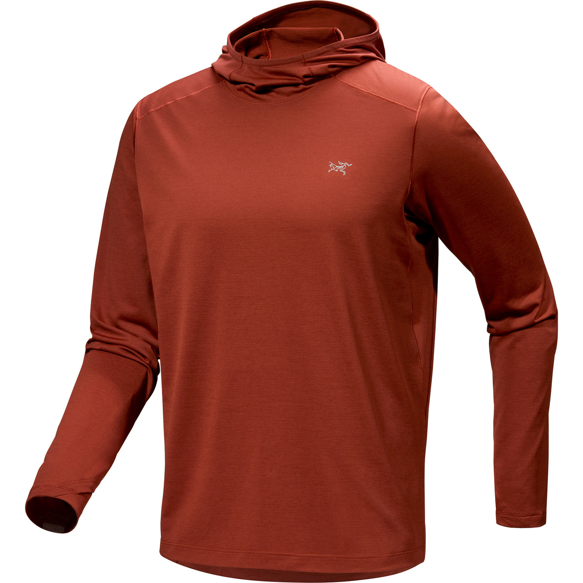 Arcteryx Herren Cormac Hoodie von Arcteryx