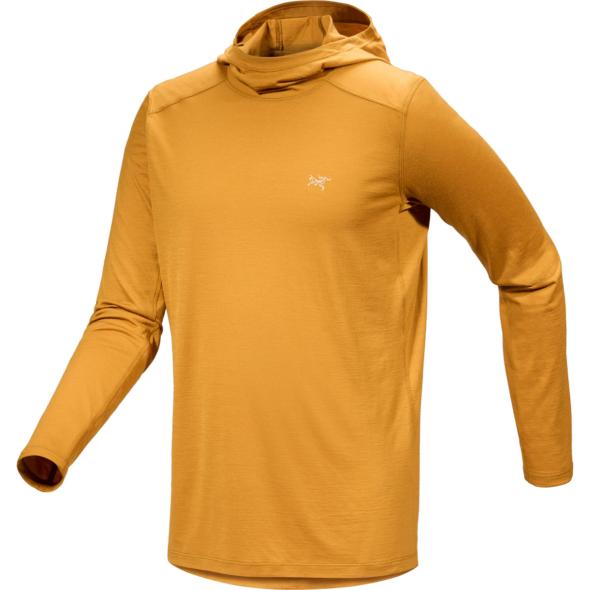 Arcteryx Herren Ionia Hoodie von Arcteryx