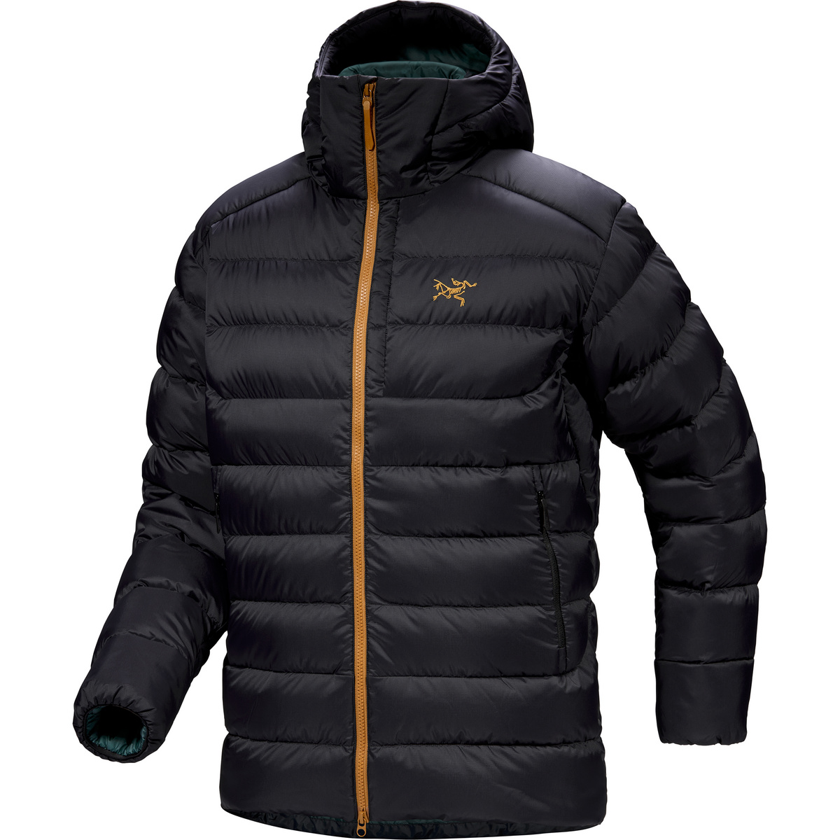 Arcteryx Herren Thorium Hoodie Jacke von Arcteryx