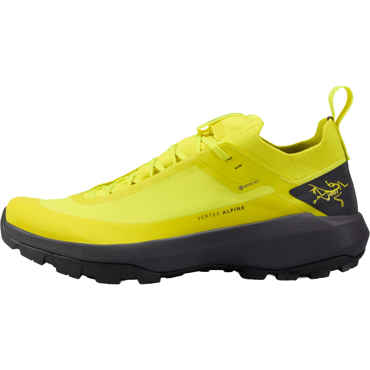 Arcteryx Herren Vertex Alpine GTX Schuhe von Arcteryx