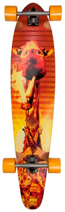 Area Safari Kush Longboard von Area