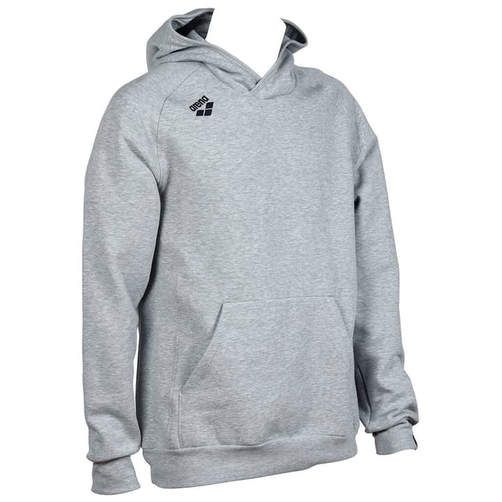 Arena Team Hooded Sweat Panel Pullover hellgrau von Arena