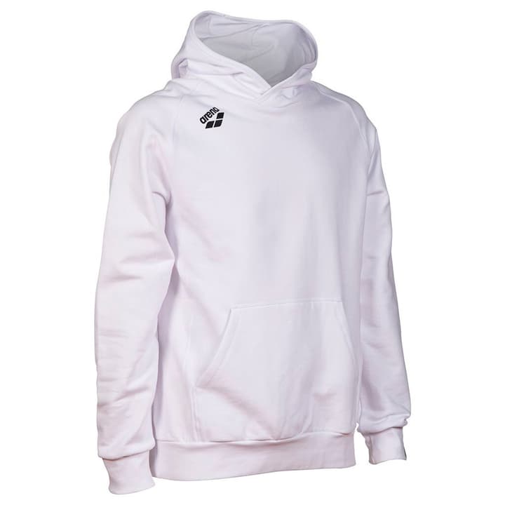 Arena Team Hooded Sweat Panel Pullover weiss von Arena