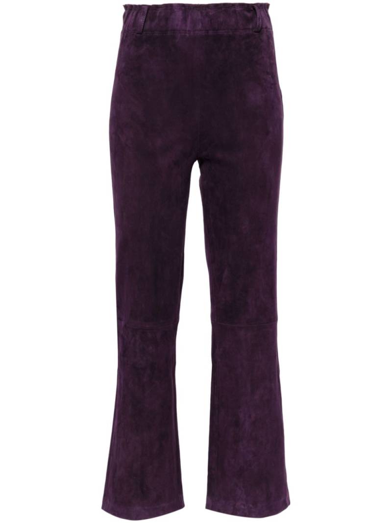 Arma Ferrara trousers - Purple von Arma