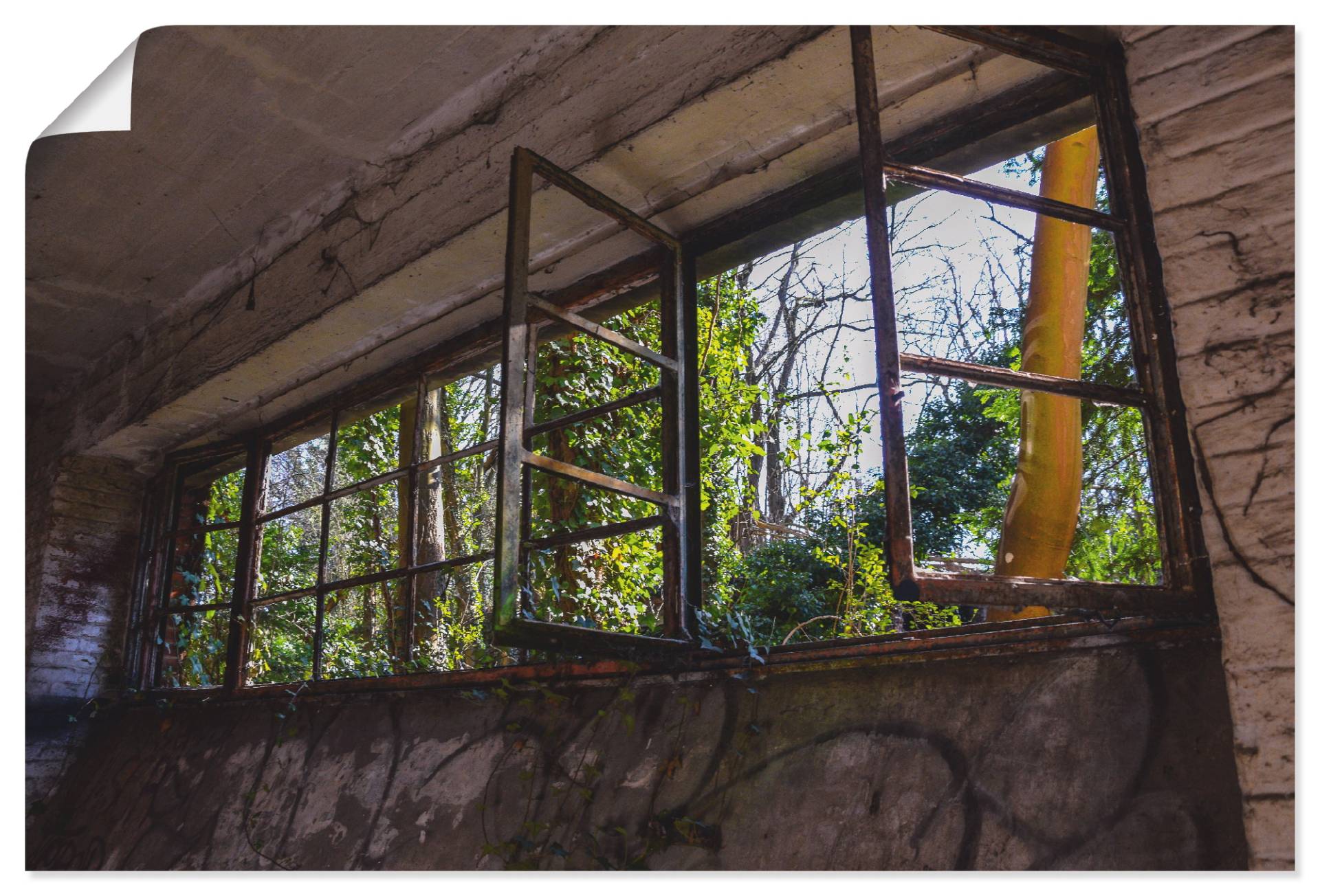 Artland Alu-Dibond-Druck »Blick ins Grüne«, Fenster & Türen, (1 St.), für Innen- und Aussenbereich geeignet, Outdoorbild von Artland