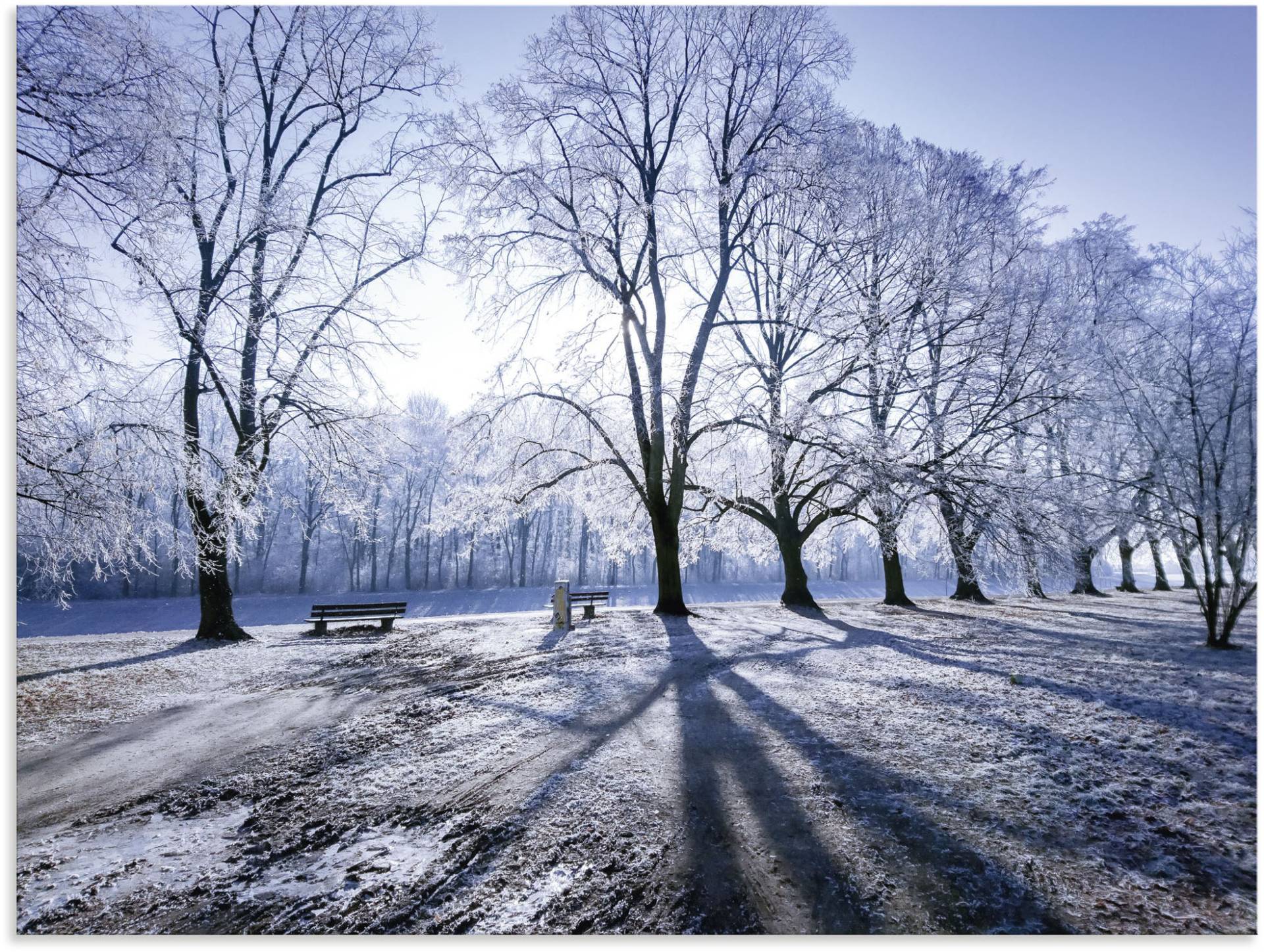 Artland Alu-Dibond-Druck »Wintertraum. Licht & Schatten im Winter«, Wiesen & Baumbilder, (1 St.), für Innen- und Aussenbereich geeignet, Outdoorbild von Artland