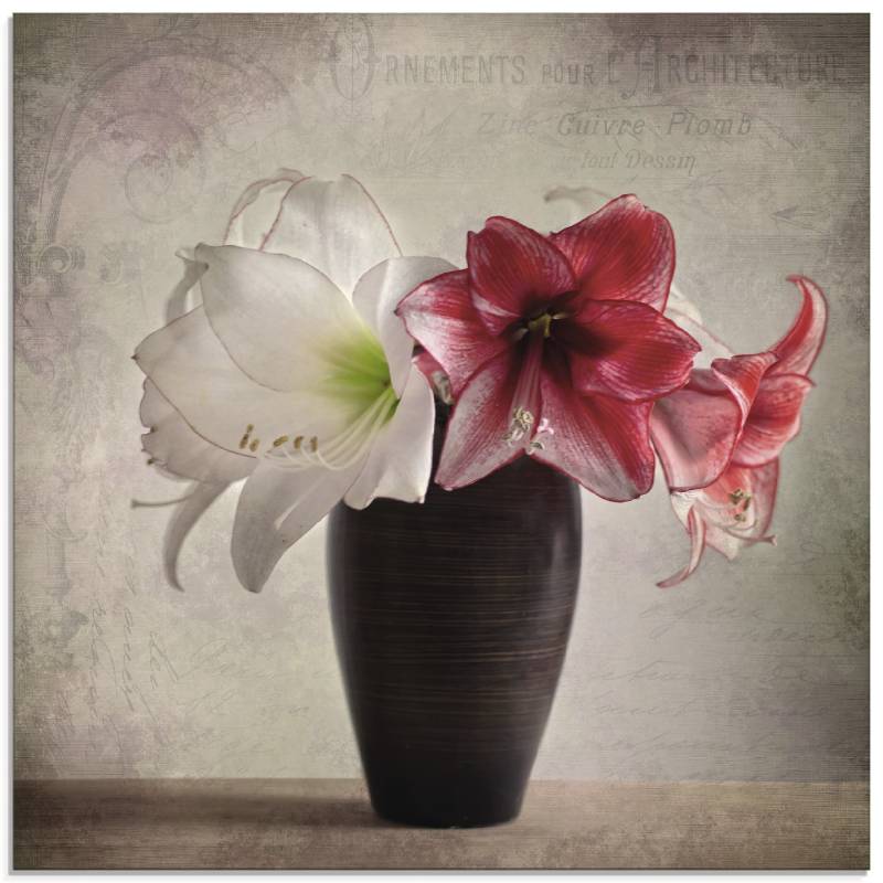 Artland Glasbild »Amaryllis Vintage I«, Blumen, (1 St.), in verschiedenen Grössen von Artland