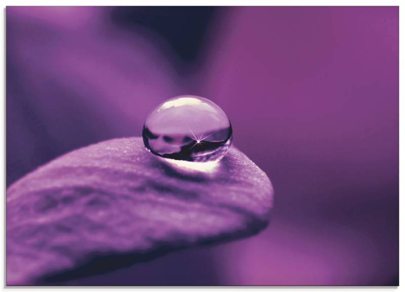 Artland Glasbild »Amethyst«, Blumen, (1 St.), in verschiedenen Grössen Artland Glasbild »Amethyst«, Blumen, (1 St.), in verschiedenen Grössen von Artland