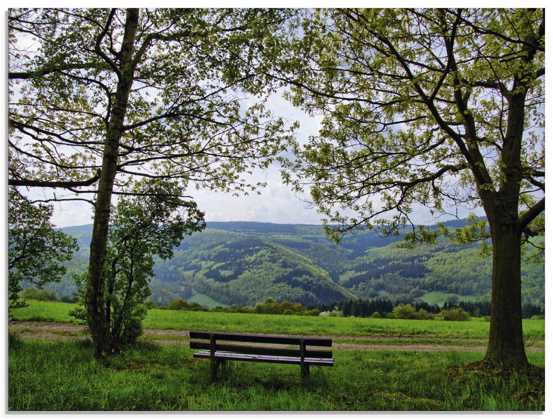 Artland Glasbild »Ausblick in den Frühling«, Felder, (1 St.), in verschiedenen Grössen von Artland