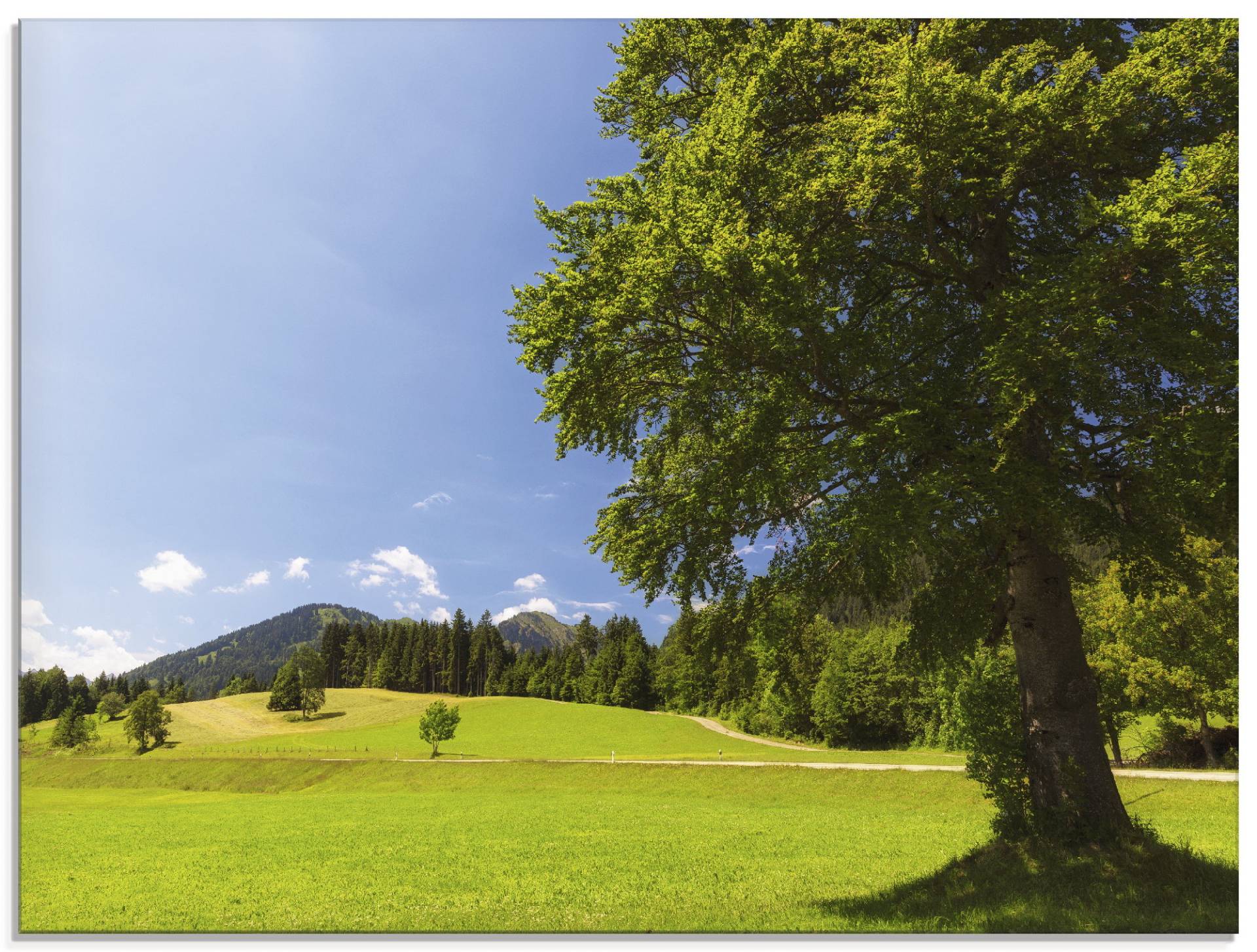 Artland Glasbild »Bayrische Landschaft«, Wiesen & Bäume, (1 St.), in verschiedenen Grössen von Artland