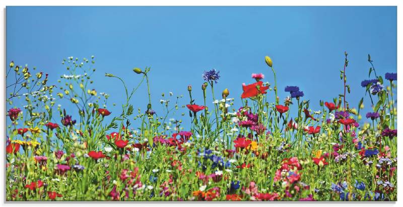 Artland Glasbild »Blumenwiese II«, Blumenwiese, (1 St.), in verschiedenen Grössen von Artland