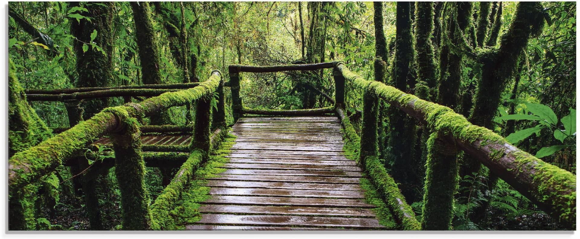 Artland Glasbild »Brückenpfad im Wald«, Asien, (1 St.), in verschiedenen Grössen von Artland