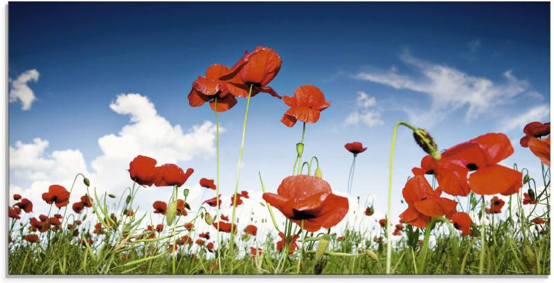 Artland Glasbild »Feld mit Mohnblumen unter Himmel«, Blumenwiese, (1 St.), in verschiedenen Grössen von Artland