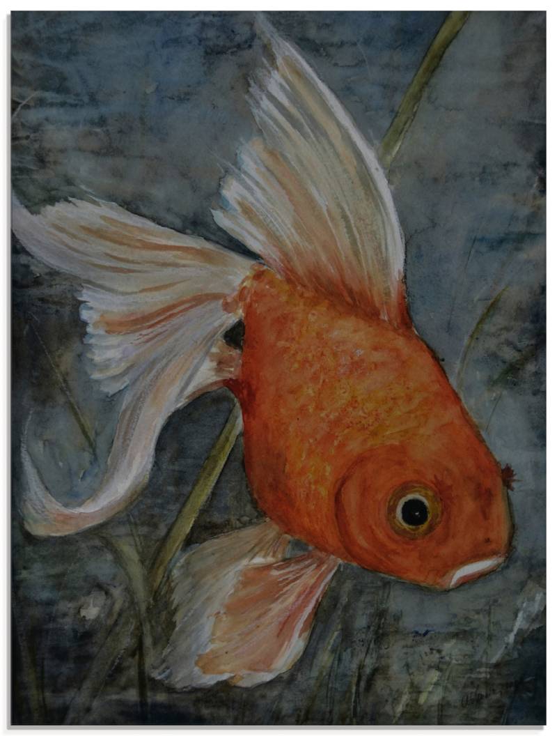 Artland Glasbild »Feng Shui - Goldfisch«, Wassertiere, (1 St.), in verschiedenen Grössen von Artland