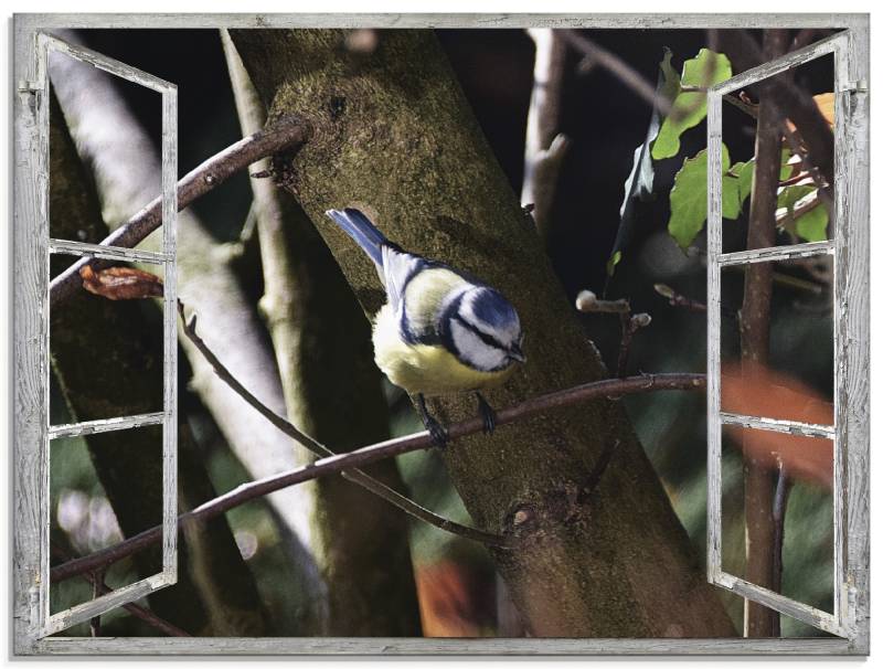 Artland Glasbild »Fensterblick - Blaumeise«, Vögel, (1 St.), in verschiedenen Grössen von Artland