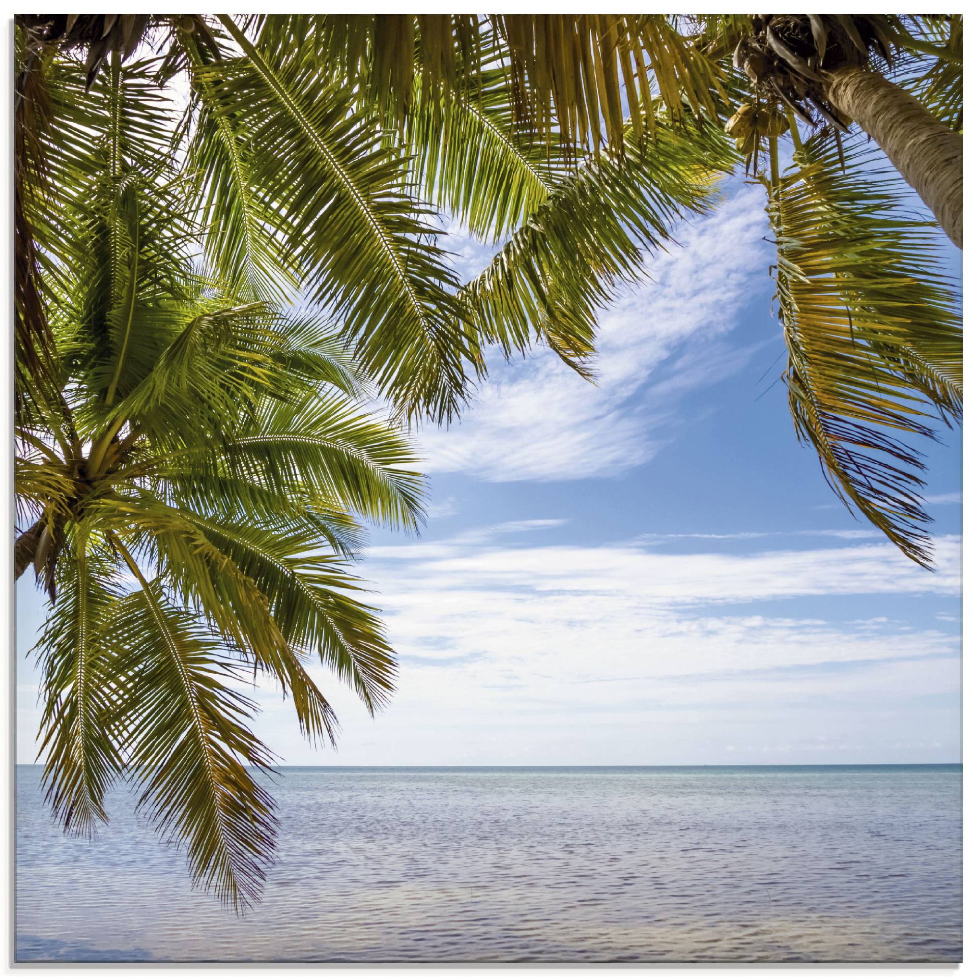 Artland Glasbild »Florida Keys Das Meer«, Bäume, (1 St.), in verschiedenen Grössen von Artland