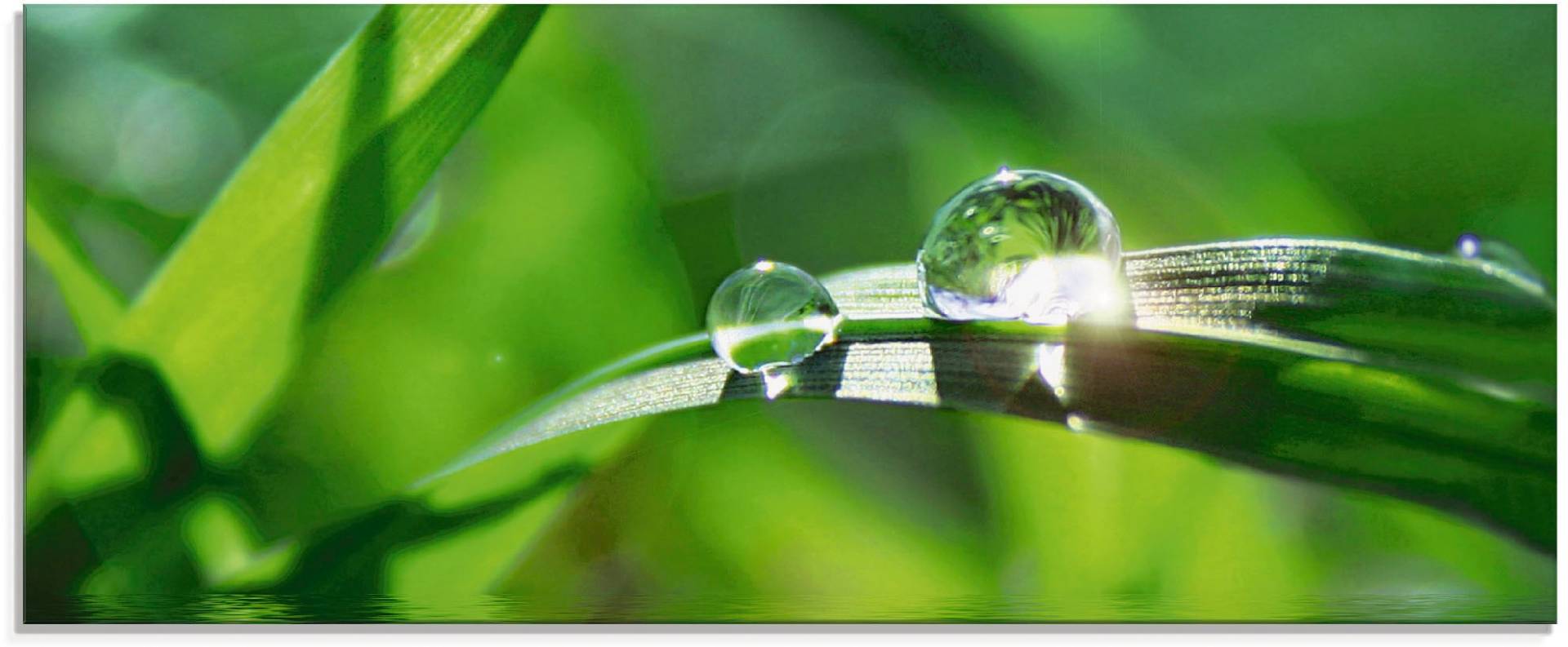 Artland Glasbild »Grüner Hintergrund mit Gras«, Gräser, (1 St.), in verschiedenen Grössen von Artland