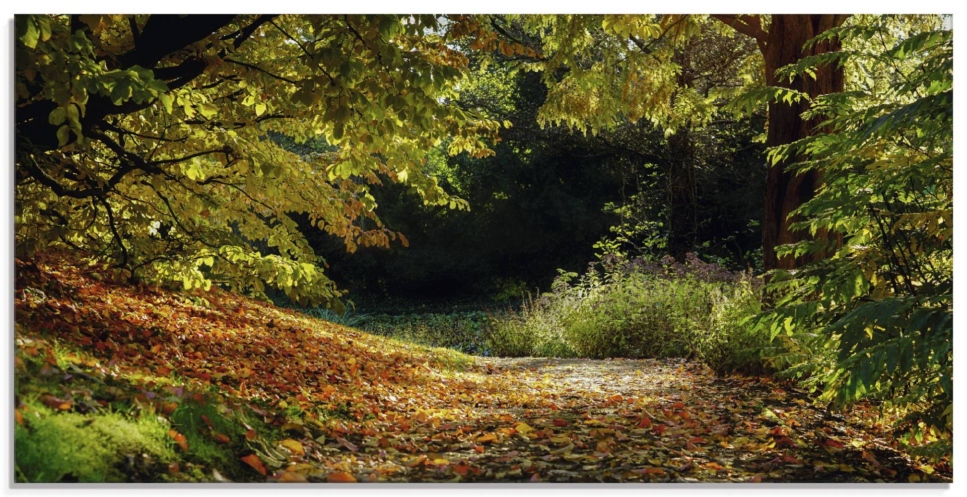 Artland Glasbild »Herbstteppich«, Wald, (1 St.), in verschiedenen Grössen von Artland