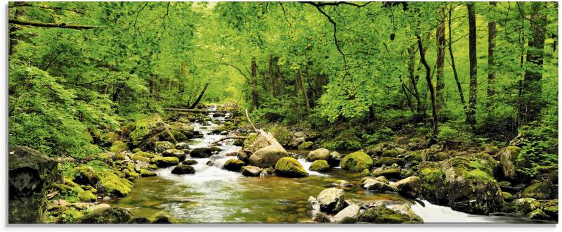 Artland Glasbild »Herbstwald Fluss Smolny«, Wald, (1 St.), in verschiedenen Grössen von Artland