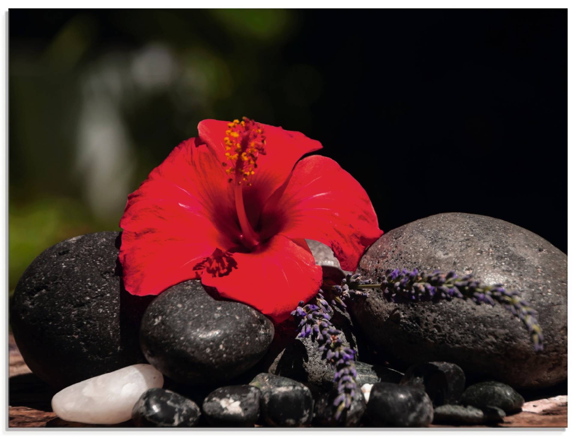 Artland Glasbild »Hibiskus Stillleben«, Blumen, (1 St.), in verschiedenen Grössen von Artland