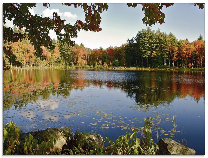 Artland Glasbild »Landschaft New England«, Vier Jahreszeiten, (1 St.), in verschiedenen Grössen von Artland