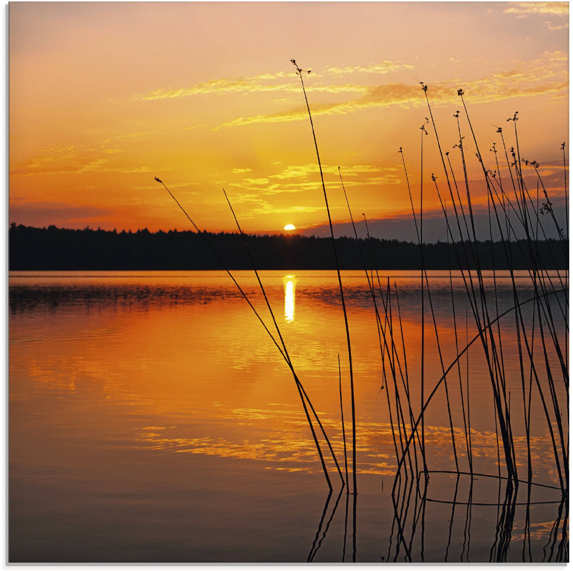 Artland Glasbild »Landschaft mit Sonnenaufgang«, Sonnenaufgang & -untergang, (1 St.), in verschiedenen Grössen von Artland