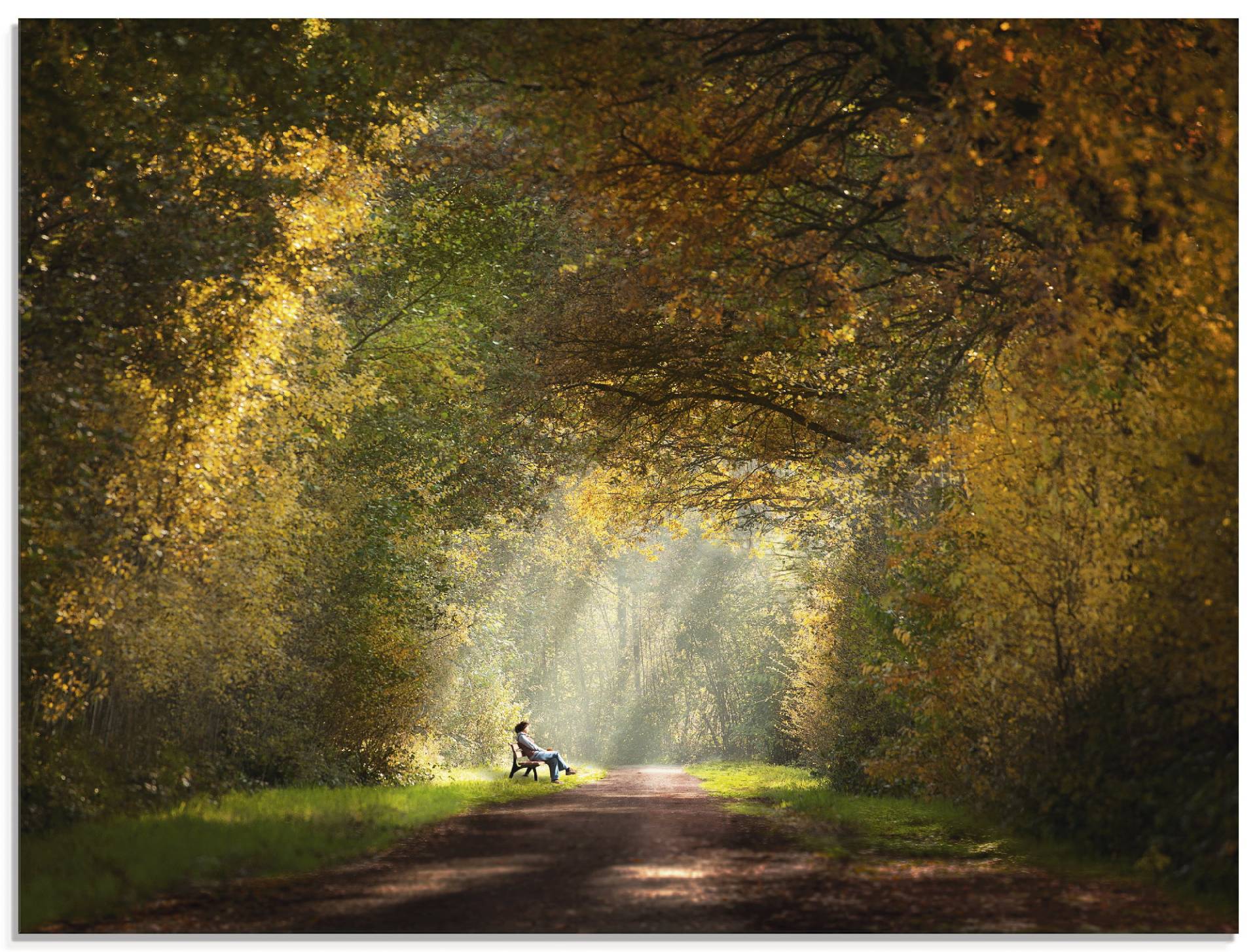 Artland Glasbild »Licht am Ende des Tunnels...«, Wald, (1 St.), in verschiedenen Grössen von Artland