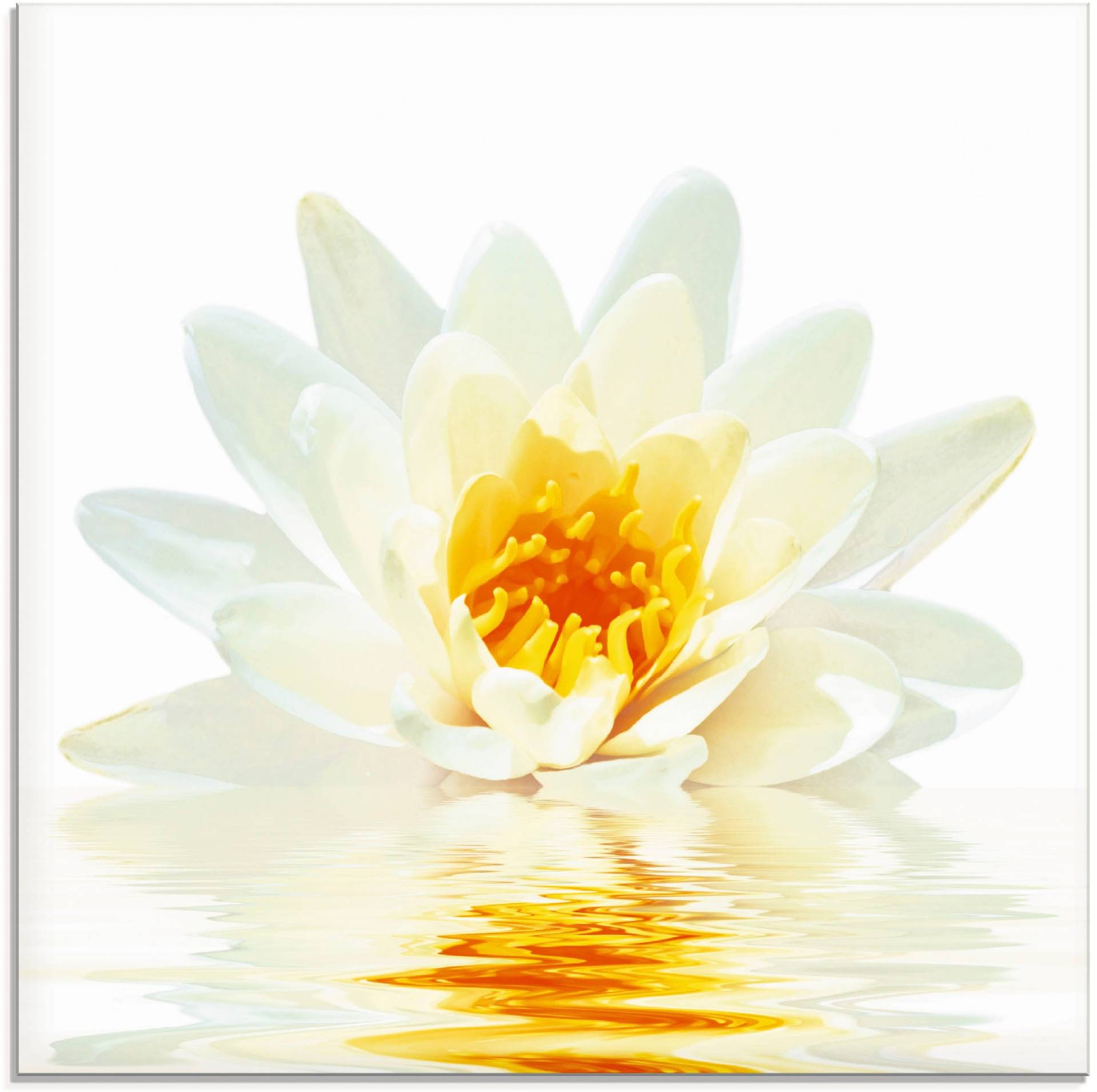 Artland Glasbild »Lotusblume schwimmt im Wasser«, Blumen, (1 St.), in verschiedenen Grössen von Artland